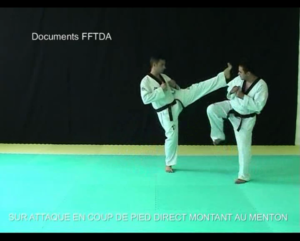 attaque-coup-de-pied-direct-au-menton