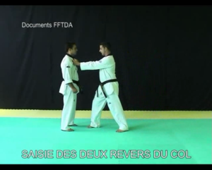 saisie-des-2-revers-de-col