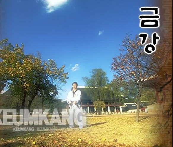 10 Keum Gan - Poomse - KUKKIWON
