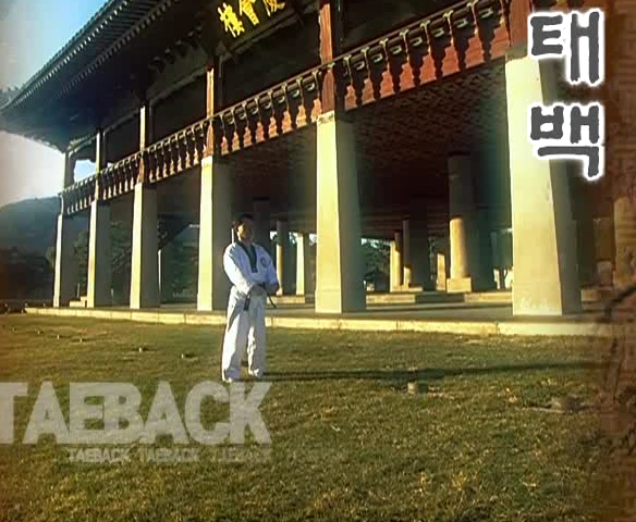 11 Tae Baeck - Poomse - KUKKIWON