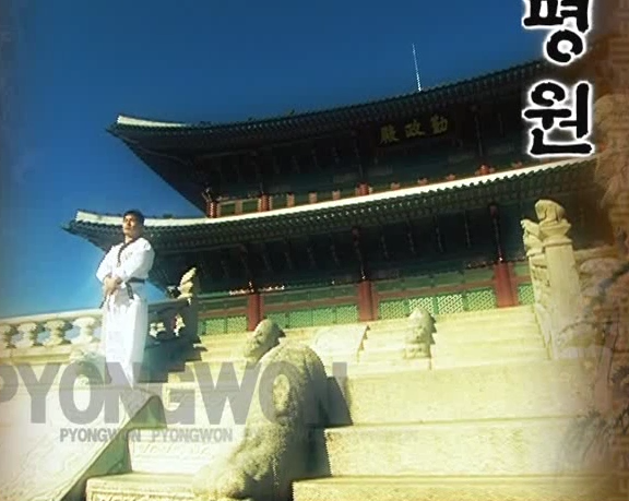 12 Pyon Won - Poomse - KUKKIWON