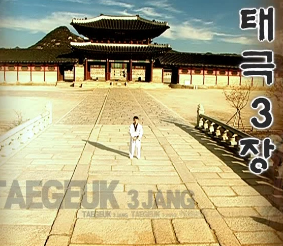 3 Tae Geuk sam jang - Poomse - KUKKIWON