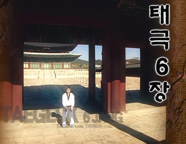 6 Tae Geuk youk jang - Poomse - KUKKIWON