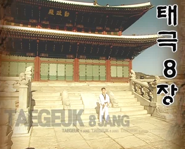 8 Tae Geuk pal jang - Poomse - KUKKIWON